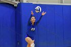 Volleyball vs Babson  Wheaton Women's Volleyball vs Babson College. - Photo by Keith Nordstrom : Wheaton, Volleyball, VB